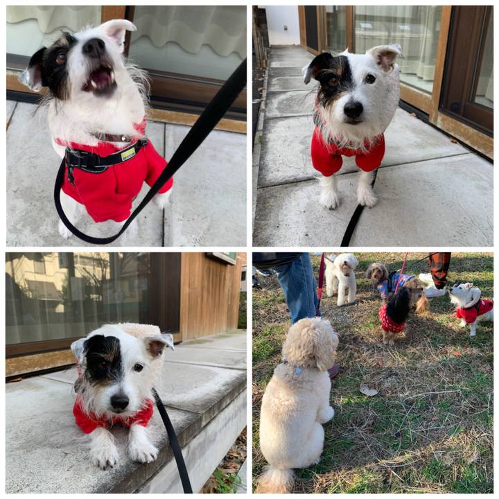 Dda18843 57ae 4c0c 9297 98b042b10948 1670721595171