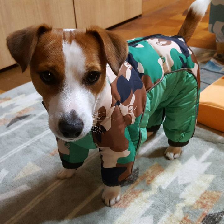 Dda1ac91 97ed 43db 9b68 c09b5cbebb15 1577250450831