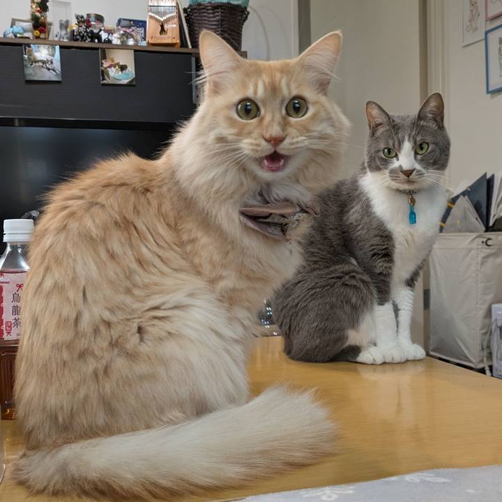 Dda1c48d 4dfd 45a4 88d1 2536697131bd 1736670401172