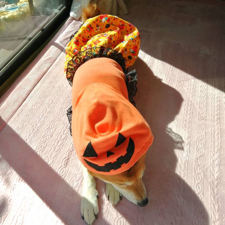 Dda1f5e1 f6e0 418c aa9e 575e8efb5c7c 1667187977780