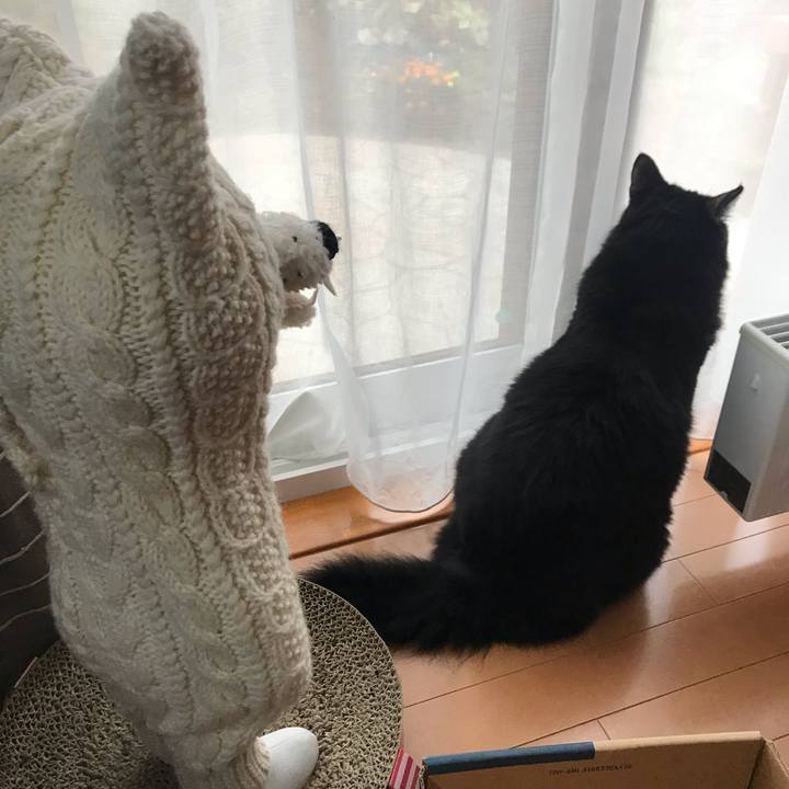 Dda23fed e9ce 4c18 869a 1fe76e93d618 1565802751820