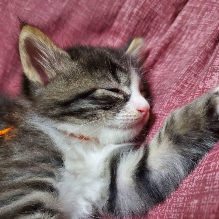 Dda24b33 c492 4f1a bde8 3b0f9f428c72 1624696962753