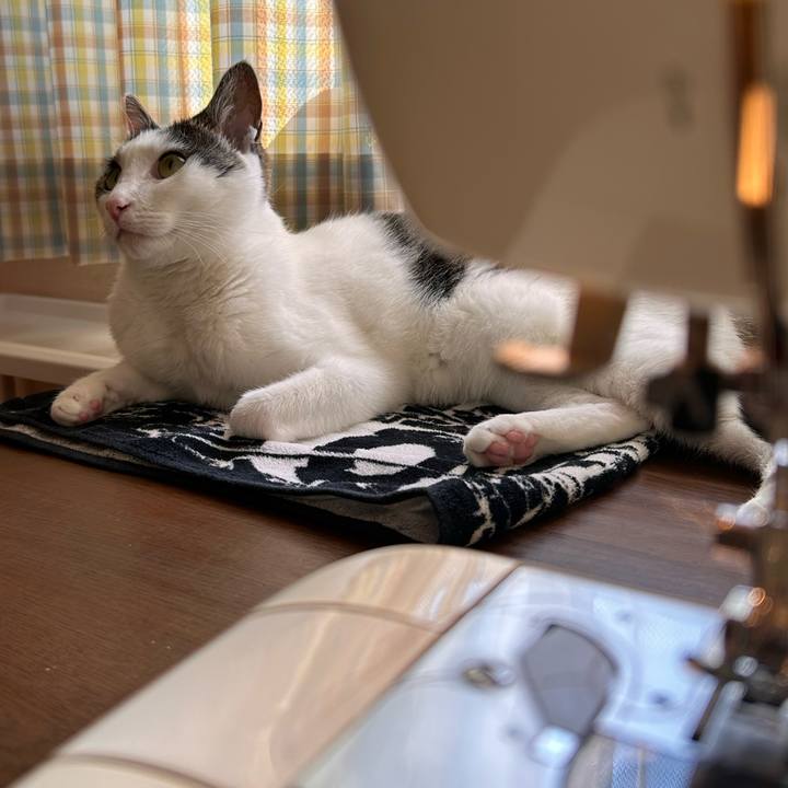 Dda2a51f a5bb 4f44 a15a 54542a2bd9bf 1718873082290