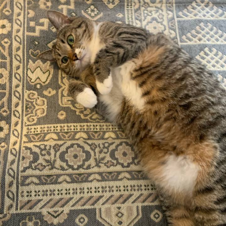 Dda2d1a5 a428 4ead aa33 813eb348c862 1603285336186