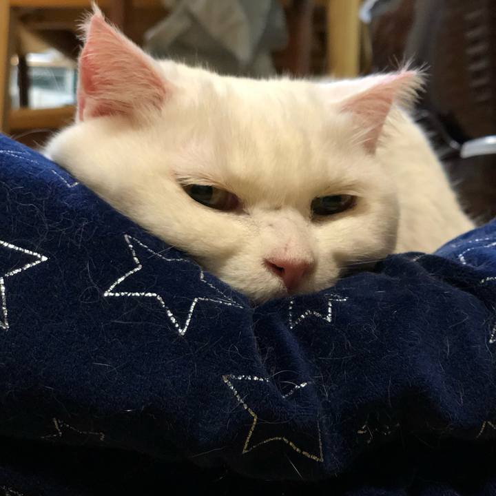 Dda2df5c 752a 4f48 9934 1d9096972a64 1580554227587