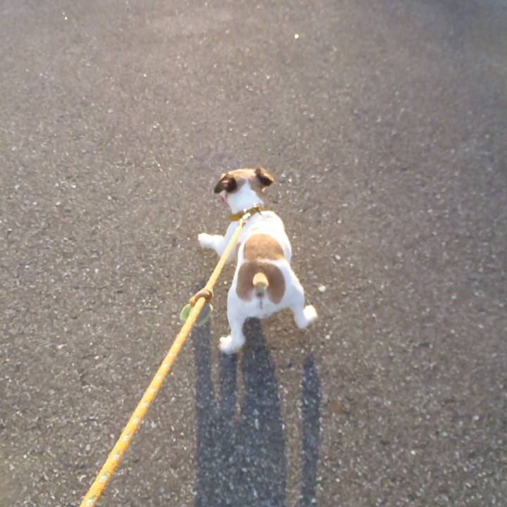 Dda3099b 57c6 4db3 aa66 7543f7ad1176 1536405369243