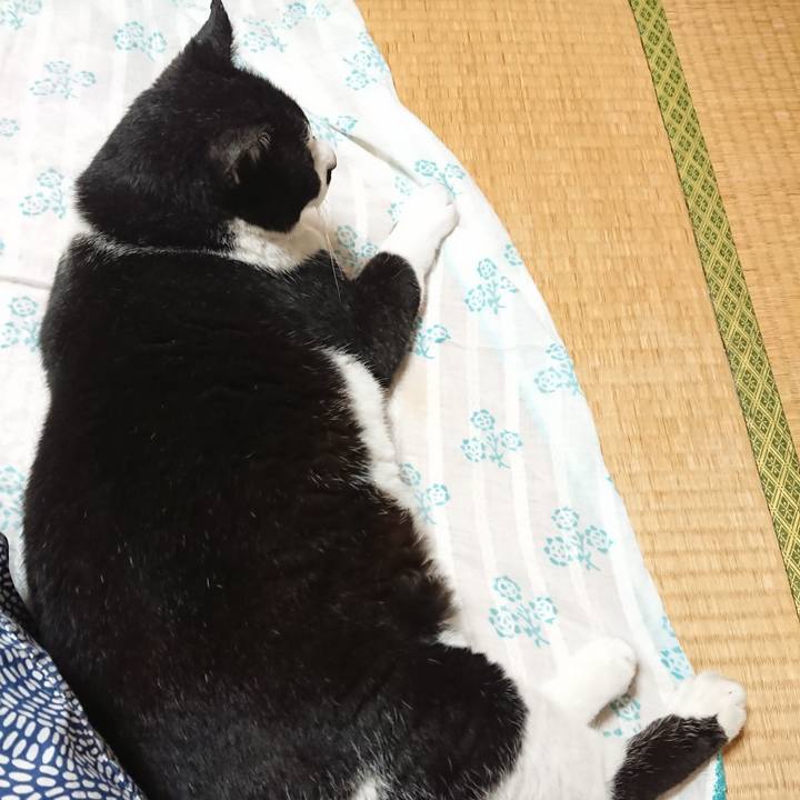 Dda30db6 6c45 423b 864f e67c03c63e1b 1622885311195