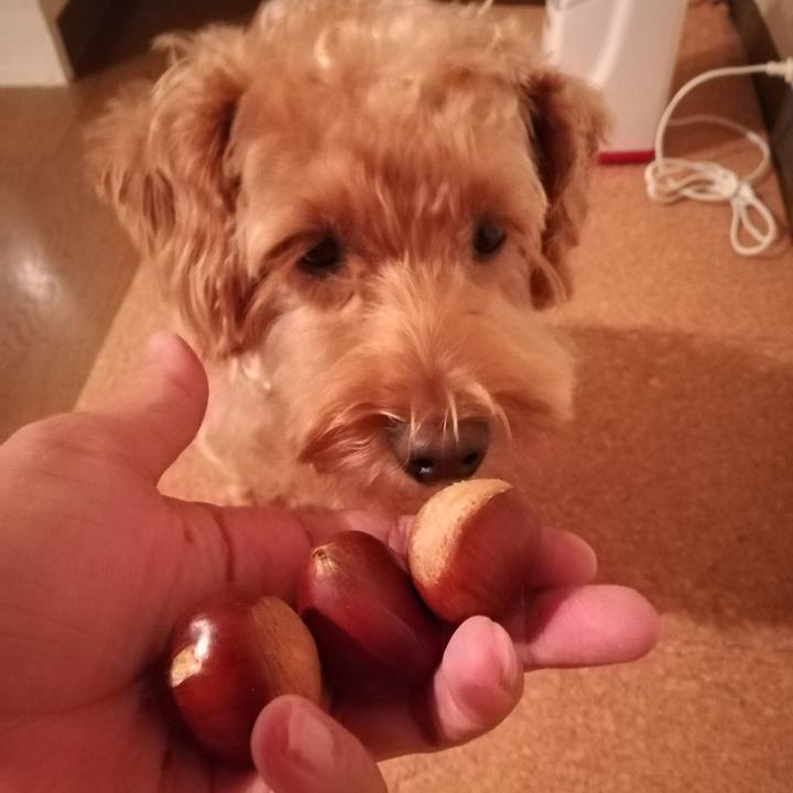 Dda30ff6 ac8b 4edf af86 ffe46628e698 1568628823626