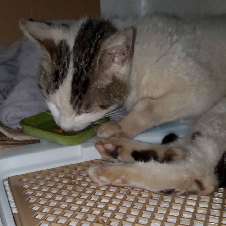 Dda31029 91f1 4b6b b890 0eb1ccdb990b 1756129340351