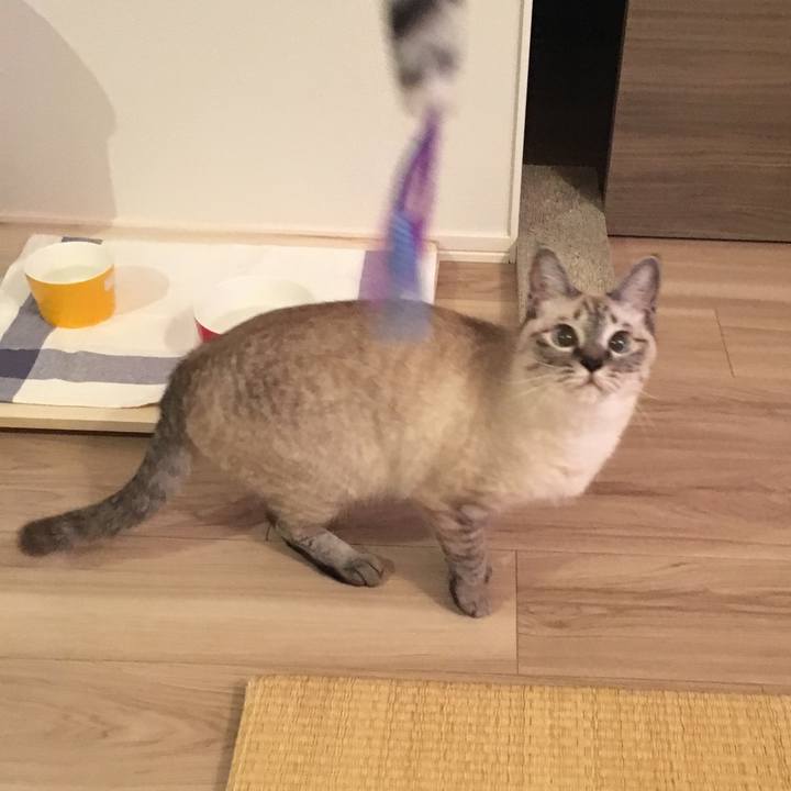 Dda32f54 0240 4469 80bd 7b065e8d2d28 1564833114589