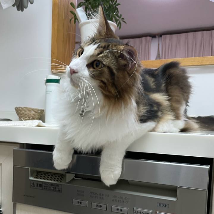 Dda3335a 7b4e 45d6 b173 6db46f62e893 1642018938969