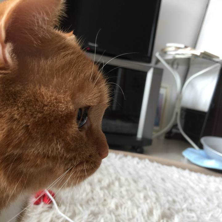 Dda349ea 6bfd 4f0d a3c3 3fff827e54e1 1568594552398