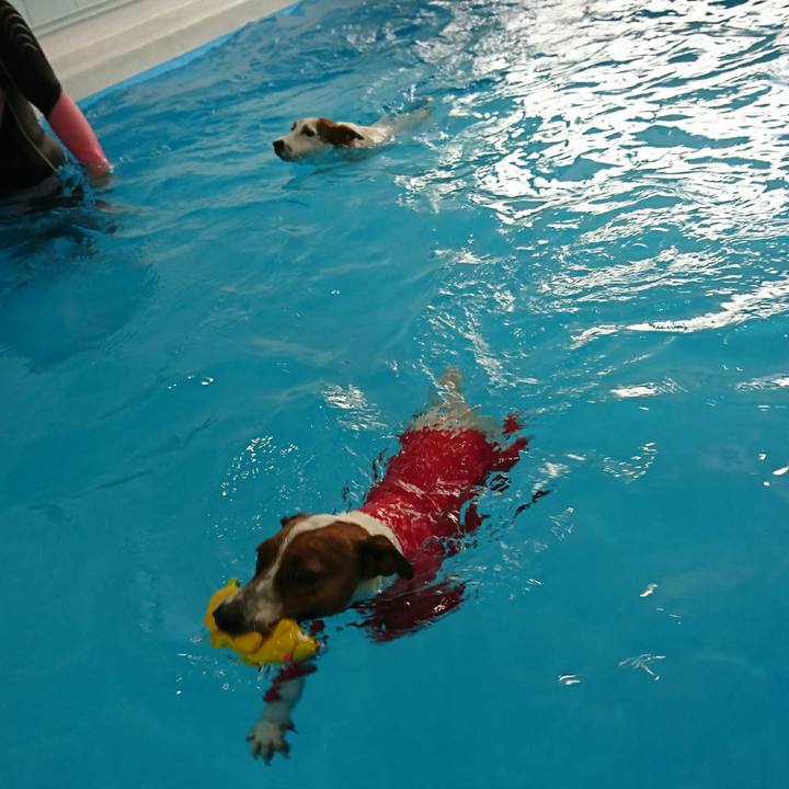 Dda375ca f115 4f24 b5b2 6009c7b9686d 1616388287174