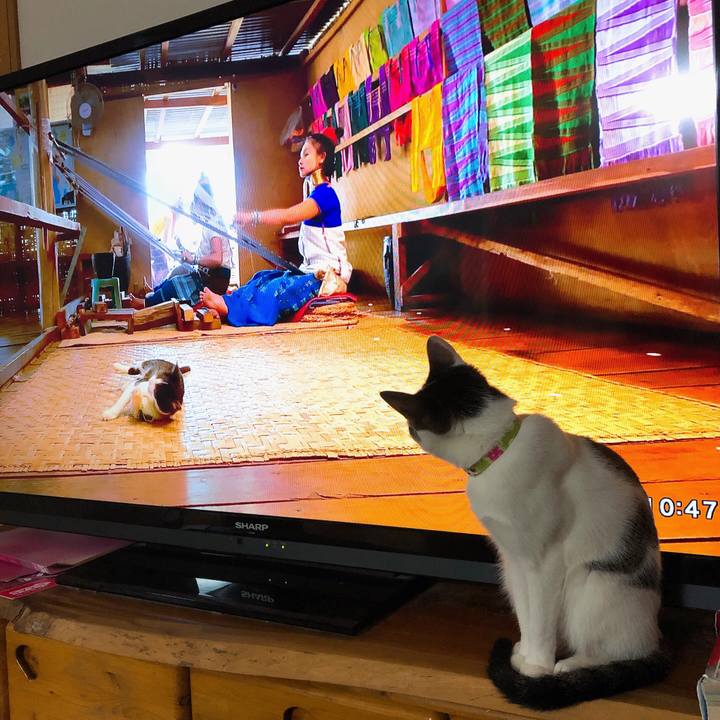 Dda37bb9 5ec1 4e8c bea0 40b498491fd0 1580478891067