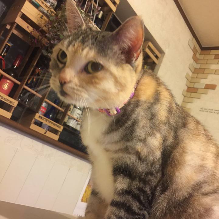 Dda37f1e abab 46fa bb2d c4cac8b2ab53 1551626148132