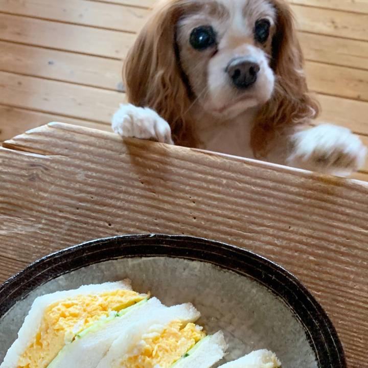 Dda38f91 ce9a 4ed1 9293 a6a9c84fdf3b 1609890199116