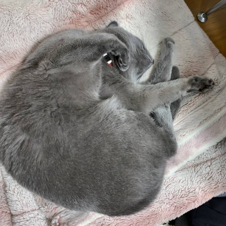 Dda3bdef 4864 4aa3 a92e f68e9fc4e65b 1598769517156