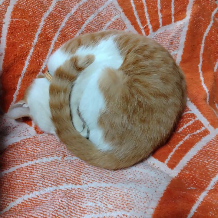 Dda3c38b f909 40ba 983e 57efc43940b7 1737257871889