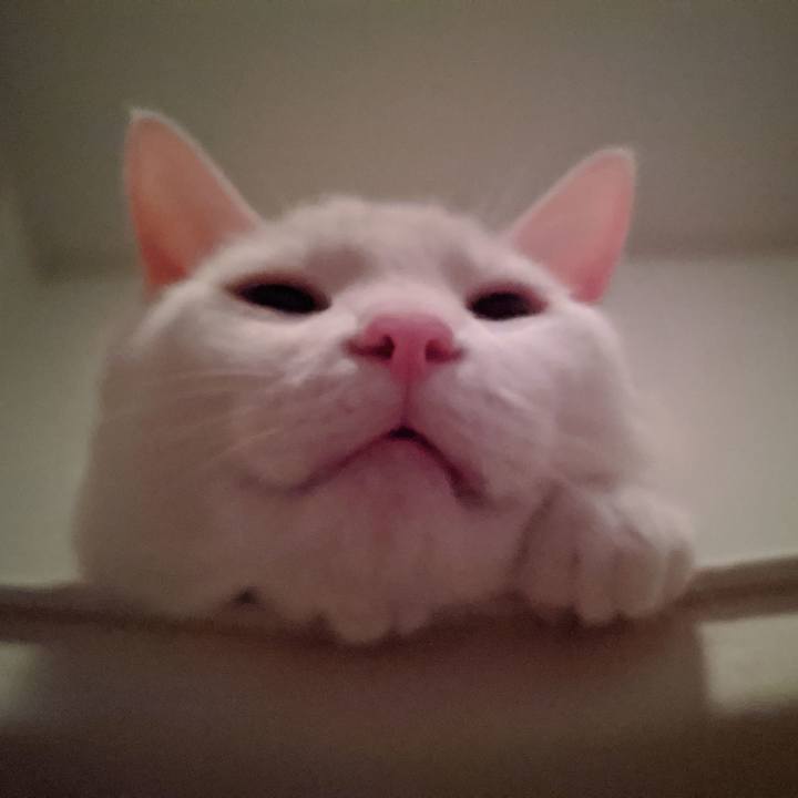 Dda3d930 35b2 449a 8888 9a2623f545ba 1585247806476