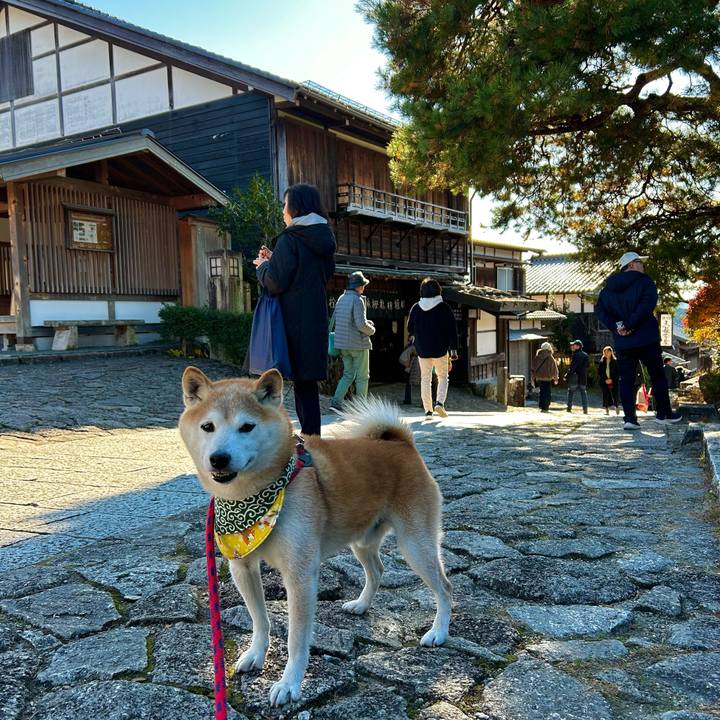 Dda3e471 dec0 4764 9cb2 a161ef3cef62 1763710335654