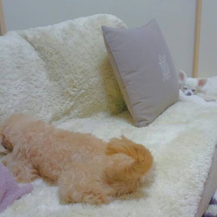 Dda45bc2 2f79 4457 bd73 ac4e3206fdd4 1555935129422