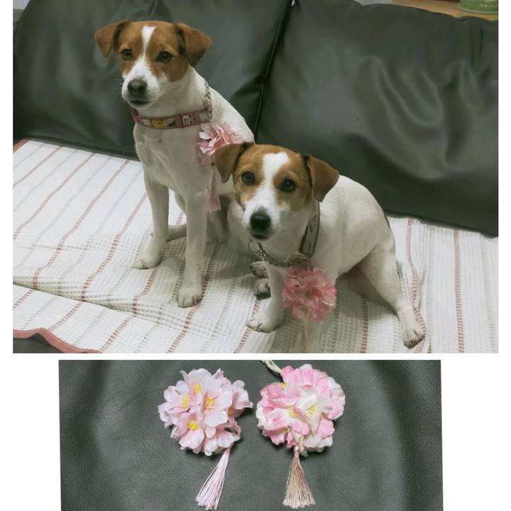 Dda47d70 edac 4e03 b440 b5e45a1da9c3 1773304355417