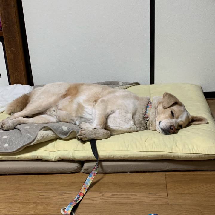 Dda49387 2ab4 4314 b867 58751bd1234d 1550502638155