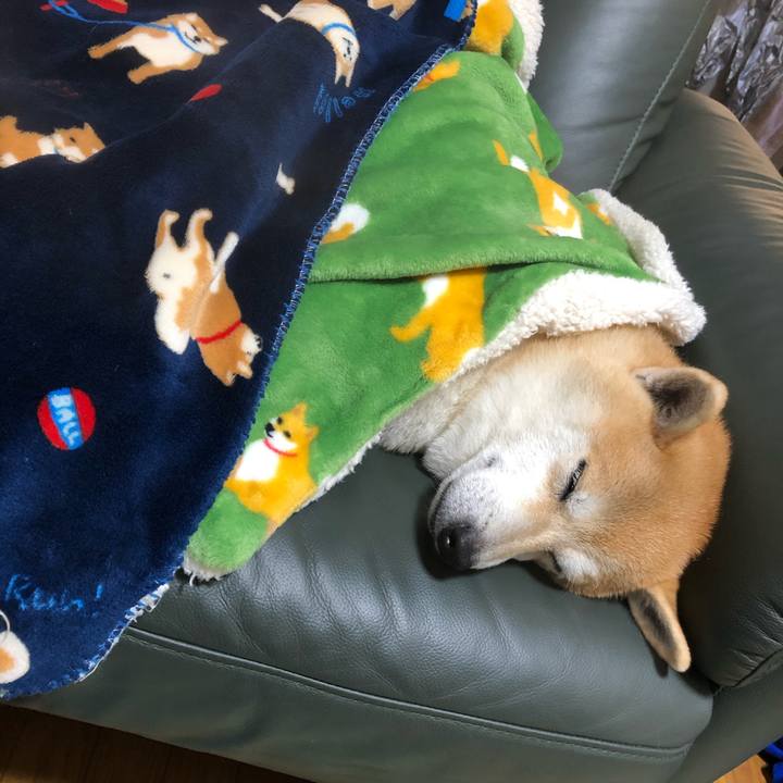 Dda4a487 ff94 4ffe bb5e e1d6ed1c8e73 1573033359255