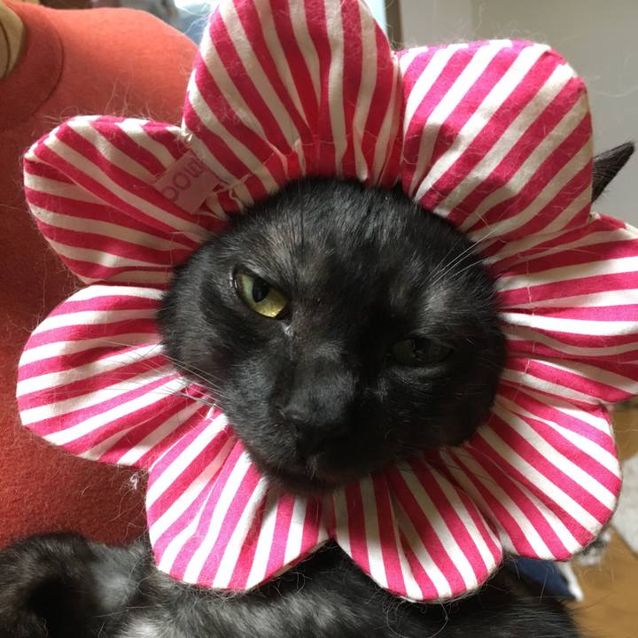 Dda4a607 cb02 4193 91c5 7b5739cb339d 1541691978635