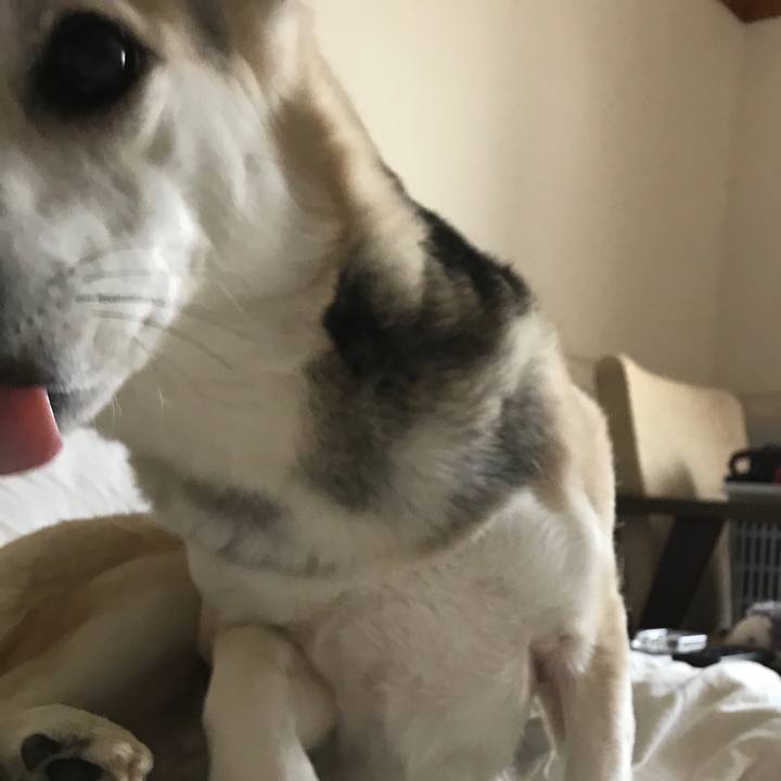 Dda4b948 4029 4ec5 84fe 669eea818d95 1549007150895