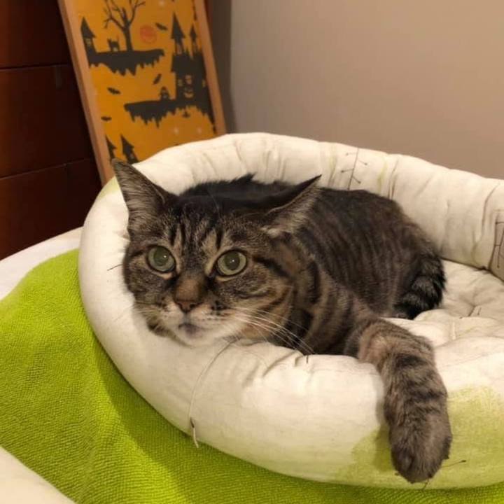 Dda4c730 8e82 4b58 b0f3 913bb3ebd9e6 1761085546698