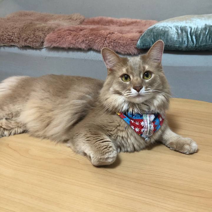 Dda4c85d dd3d 4d3c b2f3 4d9d75ac38b0 1648429606621