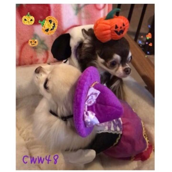 Dda4df92 43ea 4d3f 9bcd a96184f06f85 1509330930380