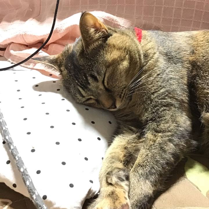 Dda51007 07f7 4ed3 9332 fd5ad035b080 1672753979810