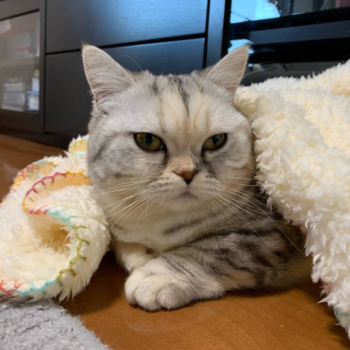 Dda5112d 2471 4279 a716 ec5ac3570089 1705302793744