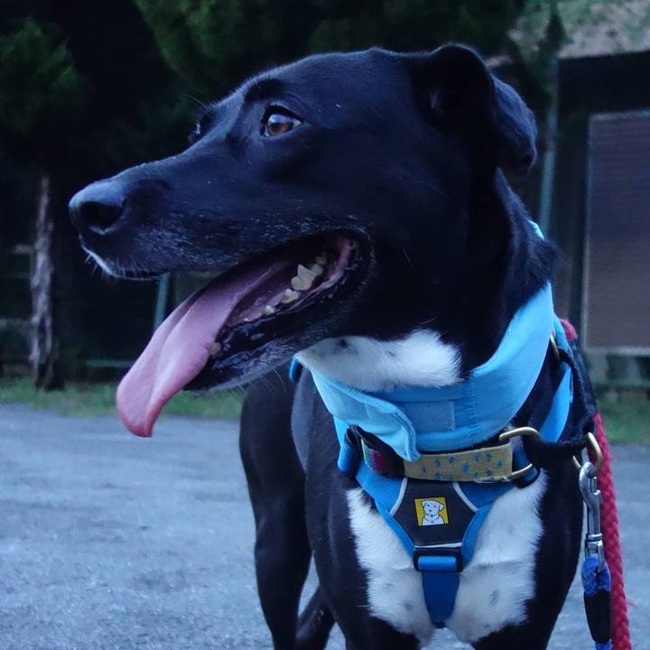 Dda52b5b 04a3 4603 8626 2c09819a4696 1628333808051