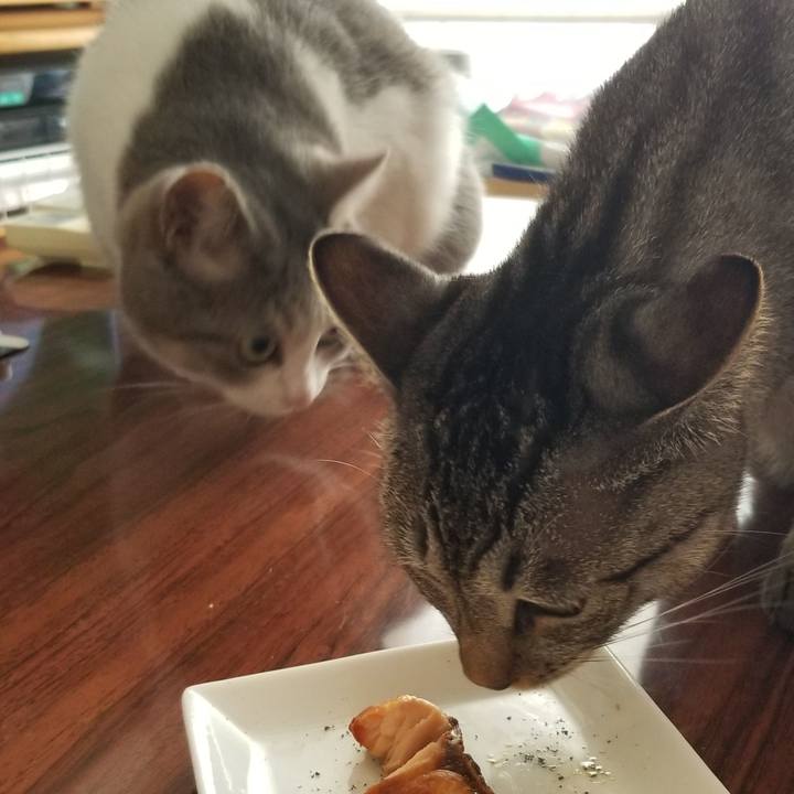 Dda5310f d257 47d8 bcea 1ca0e75e6176 1693119375915