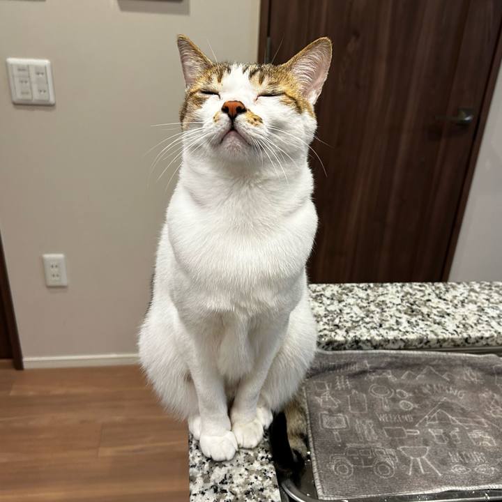 Dda53230 251c 4fbd b454 19b66c72787f 1763120284790