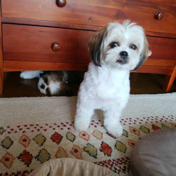 Dda53725 9a02 4de4 9fb4 91c47aeaf7cb 1536212499558