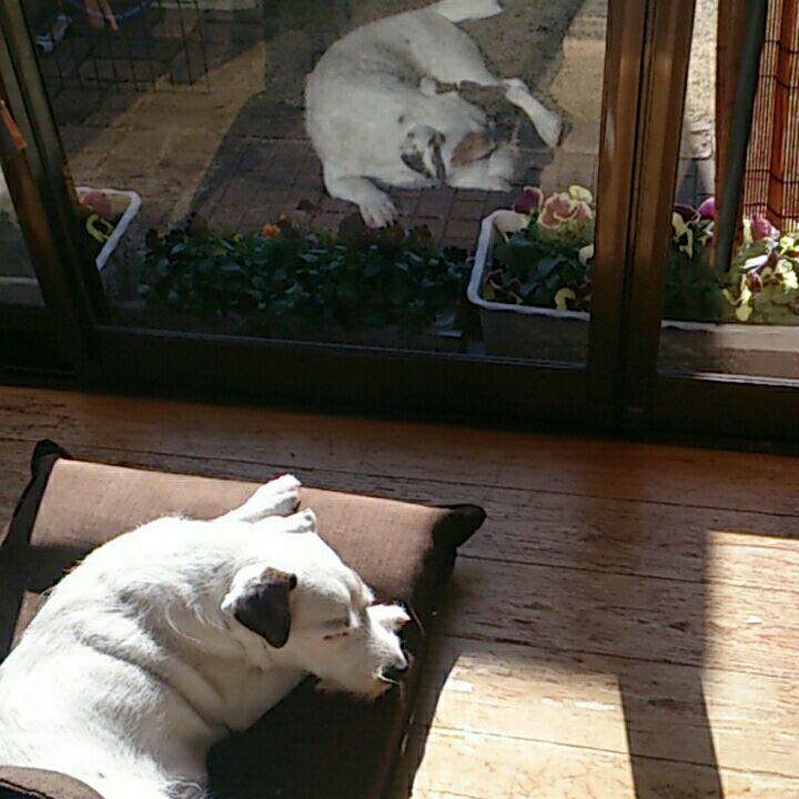 Dda54dcd de3d 47cc 880e 7a399957a138 1515801539697