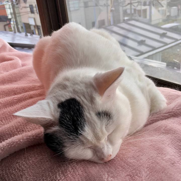 Dda570a4 f183 46dd bdae fa85219fab65 1572243424716