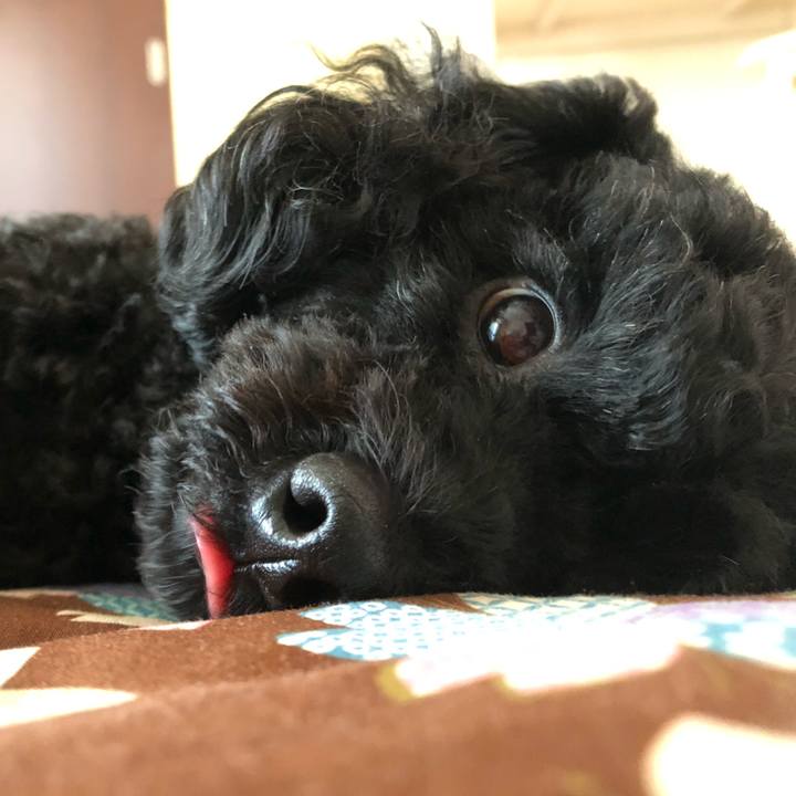 Dda59b9a fea0 46ff 9929 0f6b7555eda8 1547436233358