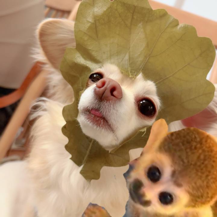 Dda5a634 9386 43b0 9515 58cddc856ac2 1714034071477