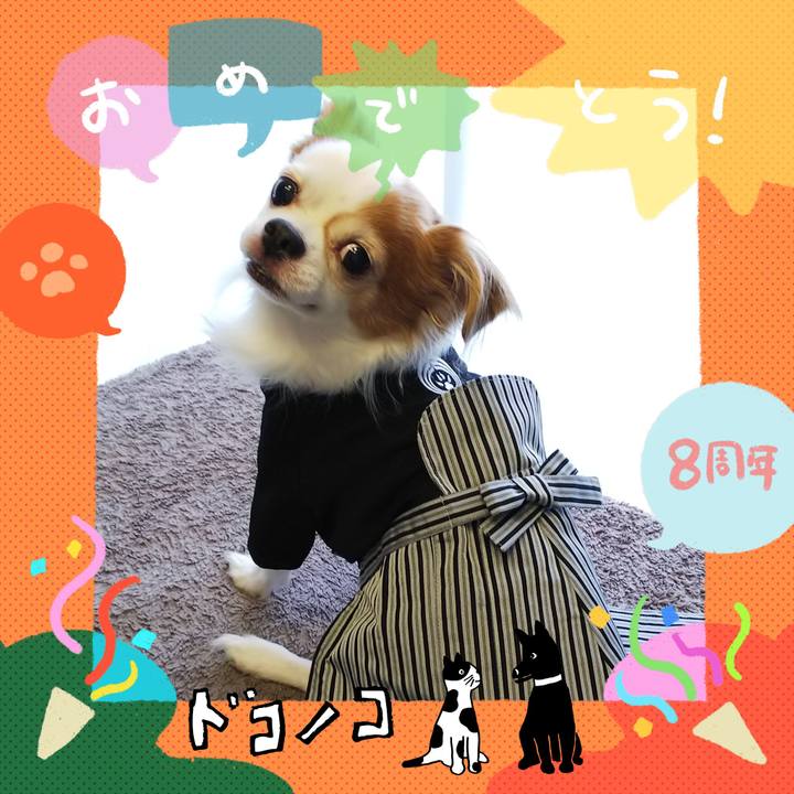 Dda5b19f 3465 4762 a42c ea3984008202 1717680863277