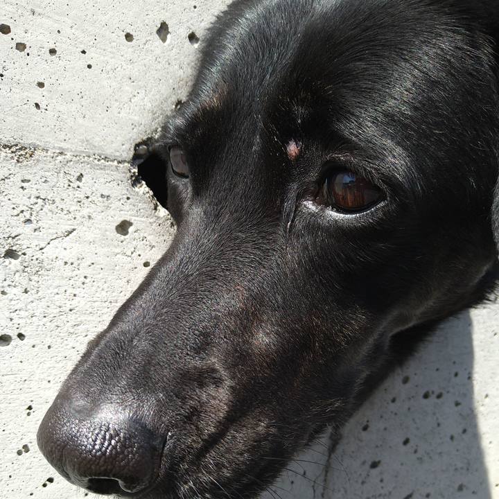 Dda5e42d d6c7 44a1 acb4 3604423aefbd 1618461794558