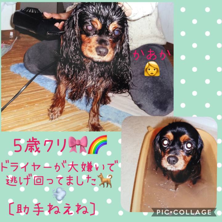 Dda5f471 7e2c 4f02 a436 3c08eabb5ef3 1586872472391