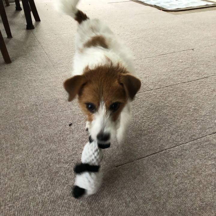 Dda60641 d4a0 42d9 8b9d 0ed472680a47 1543728529646