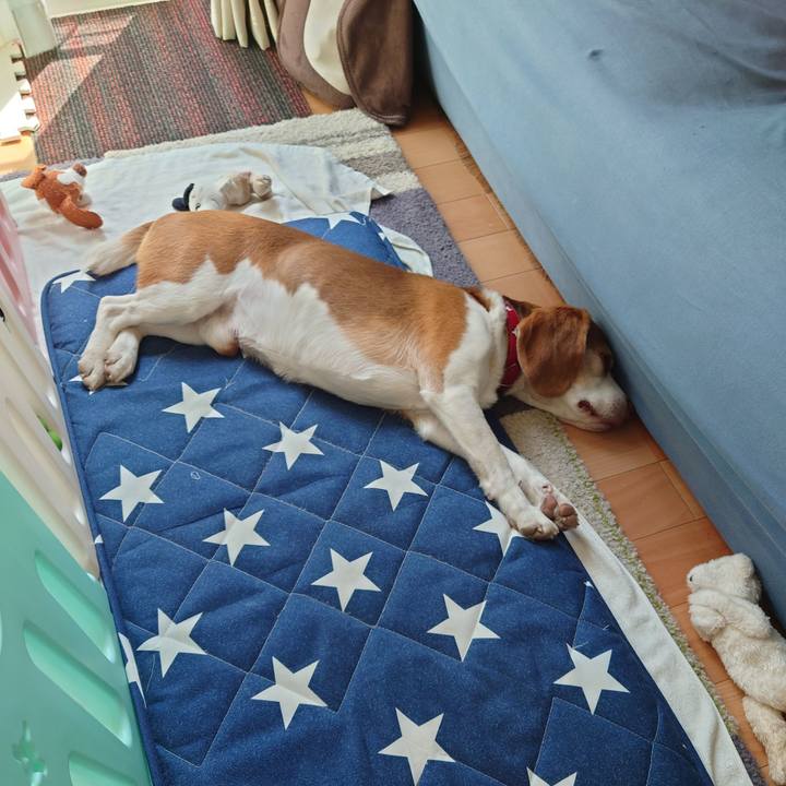 Dda624a4 3fa6 48d2 82cb 57299d27491b 1712030430473