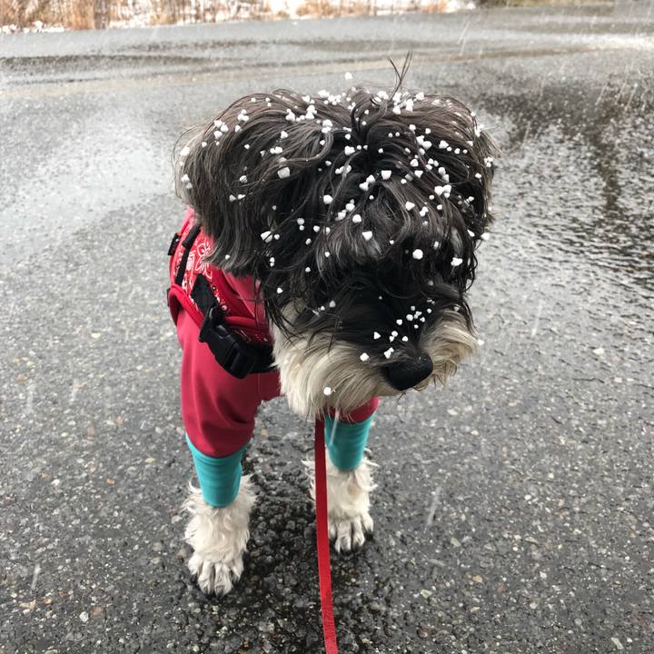 Dda62804 4fdf 44c8 abe8 34e82511010c 1514949976602