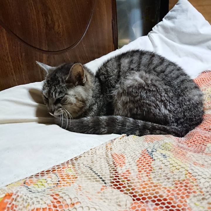 Dda64edb 7994 47ac ade5 f5b3a8b390f8 1591185956558